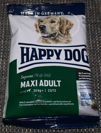 Happy Dog 8