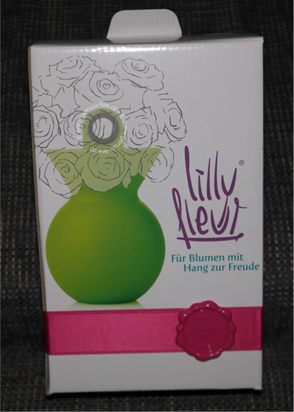 Lilly Fleur - Geschenkewunderland 5