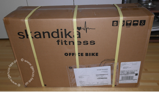 Skandika Office Bike 8